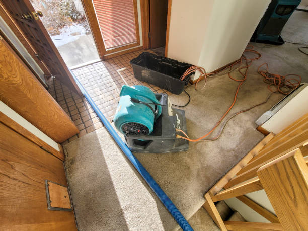 Best Emergency water damage restoration  in Cologne, MN