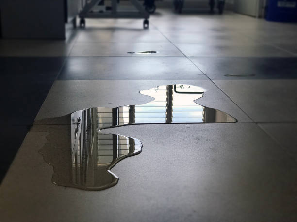 Best Carpet water damage restoration  in Cologne, MN