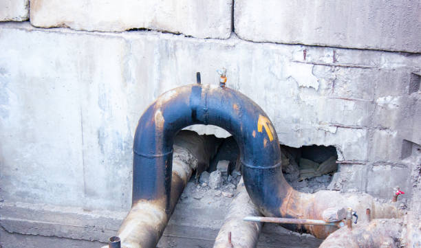 Best Mold removal after water damage  in Cologne, MN
